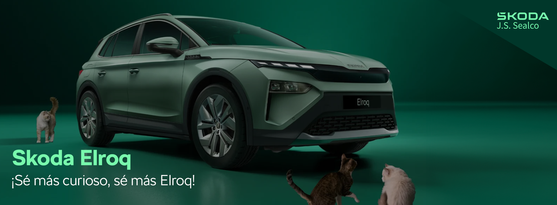 SKODA ELROQ BANNER